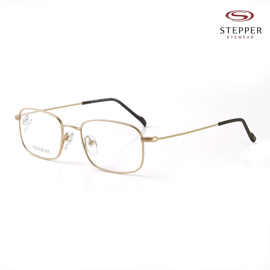 Stepper SI-60117 F010 Authentic Frame Titanium