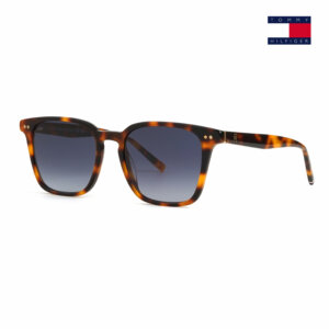 Tommy Hilfiger Th 2158/S Authentic Sunglasses