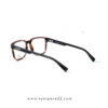 Lacoste L2895 Men's Havana Eyewear