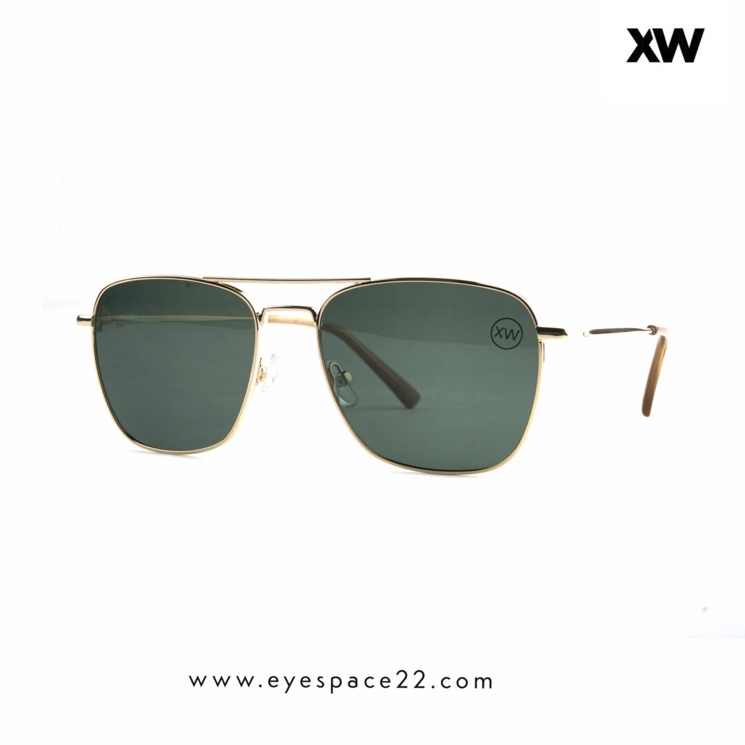 Buy Lenskart Vincent Chase Polarized Metal Sunglasses VC S13830 Gold in Bangladesh