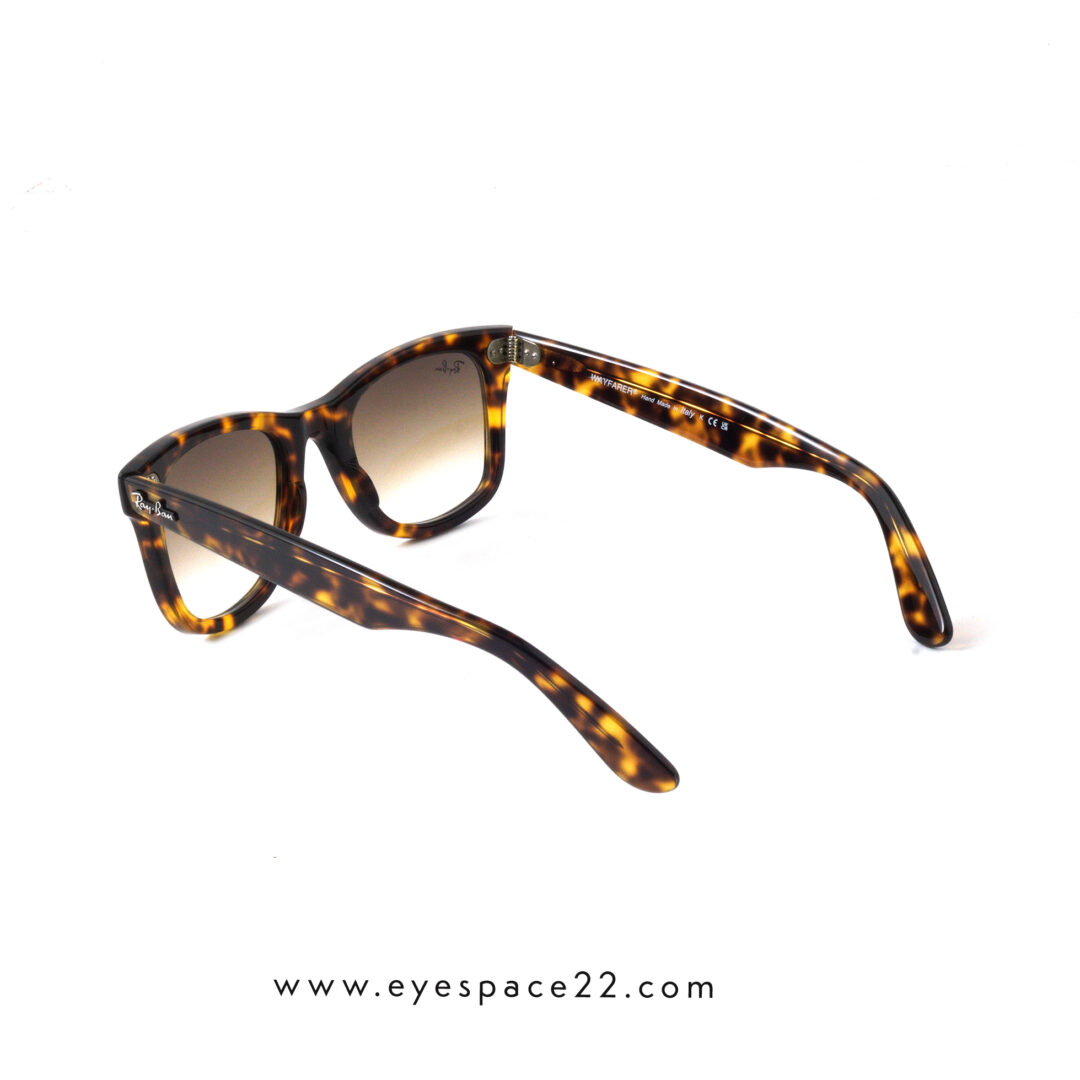 Shop orginal Ray-Ban Wayfarer Sunglasses