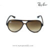 Best Ray-Ban Cats 5000 Light Havana Sunglasses