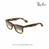 Order Ray-Ban Wayfarer Sunglasses Online in Bangladesh